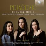 Chamber Music