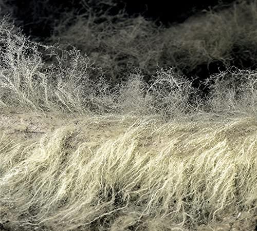 Diver - CD Audio di Lyonel Bauchet