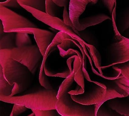 Coil - CD Audio di Ian Boddy