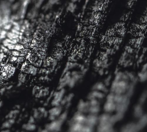 Plector - CD Audio di Parallel Worlds