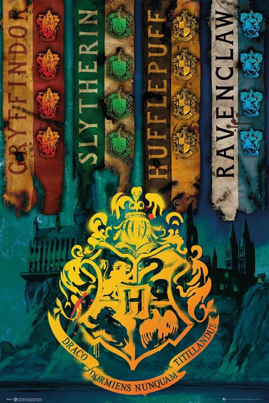 Poster Harry Potter House Flags - Pyramid - Idee regalo