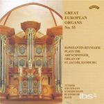 Great European Organs No.55