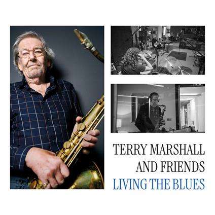 Living The Blues - Vinile LP di Terry Marshall