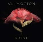 Raise Your Expectations - Vinile LP di Animotion