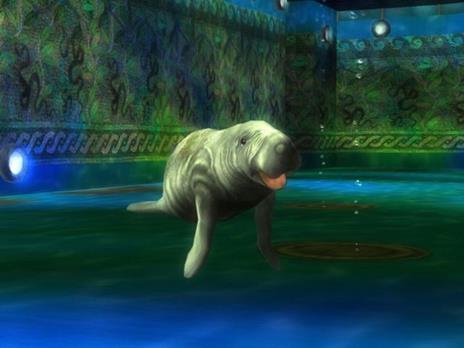 Sea World Adventure - 6