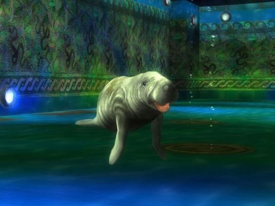 Sea World Adventure - 6