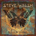 Black Butterfly