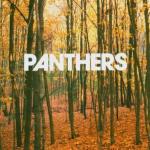 Things are Strange - CD Audio di Panthers