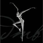 Stand Up - CD Audio + DVD di Dave Matthews (Band)