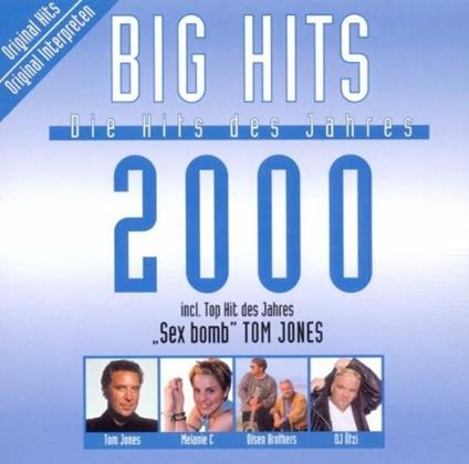 Big Hits 2000 - CD Audio