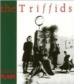 Treeles Plain