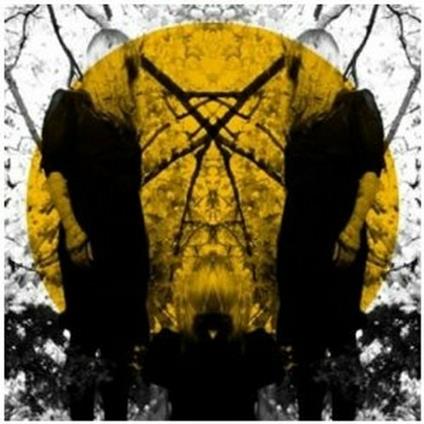 Feel it Break - Vinile LP di Austra