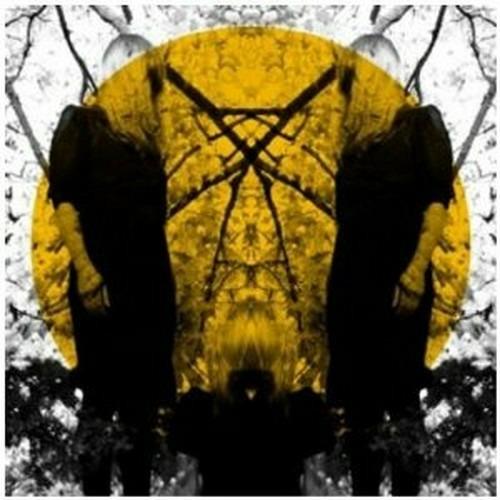 Feel it Break - Vinile LP di Austra