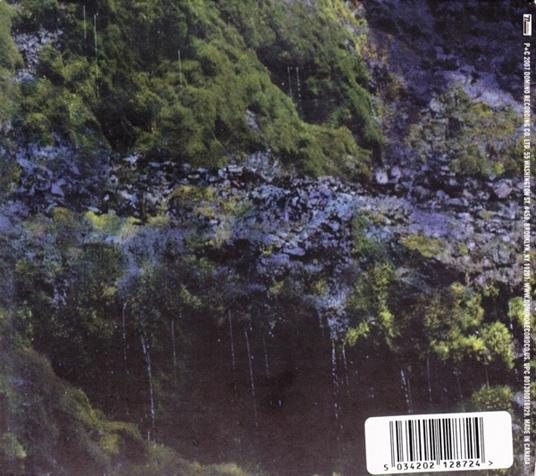 Water Curses - CD Audio di Animal Collective - 2