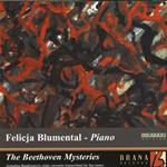 Beethoven Mysteries