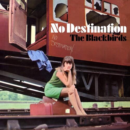 No Destination - CD Audio di Blackbirds