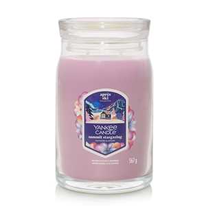 Idee regalo Giara Grande Signature Summit Stargazing Yankee Candle