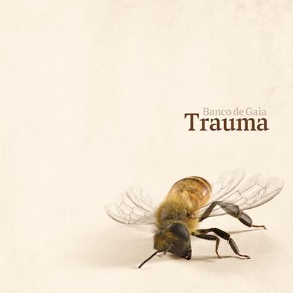 Trauma - CD Audio di Banco de Gaia