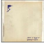 Down in Albion - CD Audio di Babyshambles