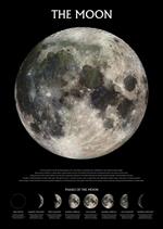 Poster The Moon. Phases