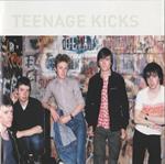 Teenage Kicks: The Best Of