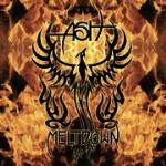 Meltdown - CD Audio di Ash