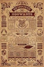Poster Maxi Harry Potter. Quidditch At Hogwarts