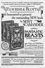 Poster Fantastic Beasts. The Crimes Of Grindelwald. Flouri