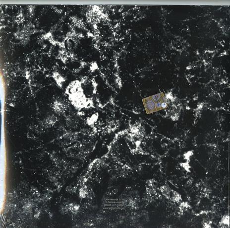 Execution Ground - Vinile LP di Painkiller - 2