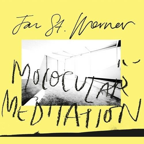 Molocular Meditation - Vinile LP di Jan St. Werner