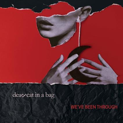 We've Been Through - CD Audio di Dead Cat in a Bag