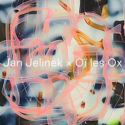 Cin-Ma Du Look - Vinile LP di Jan Jelinek