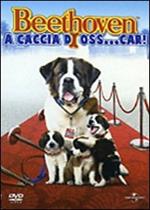 Beethoven a caccia di Oss...car! (DVD)