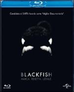 Blackfish