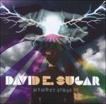 Memory Store - CD Audio di David E. Sugar