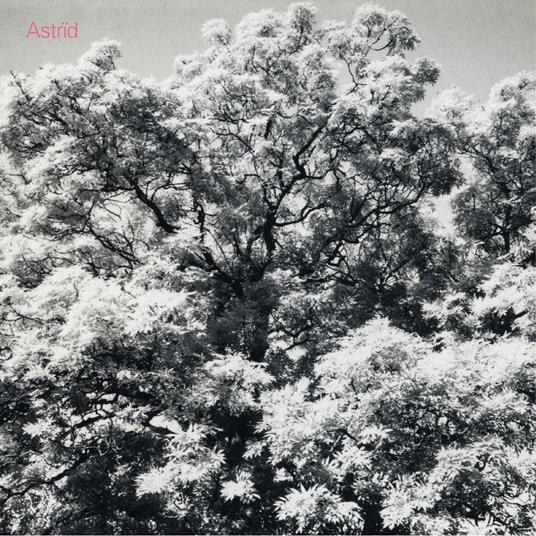 Always Digging The Samehole - CD Audio di Astrid