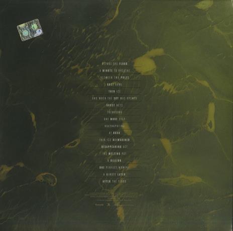 Before the Flood (Colonna sonora) - Vinile LP - 2