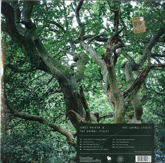 The Animal Spirits - Vinile LP di James Holden,Animal Spirits - 2