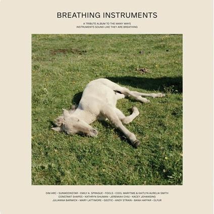 Breathing Instruments - Vinile LP