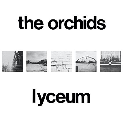 Lyceum - CD Audio di Orchids