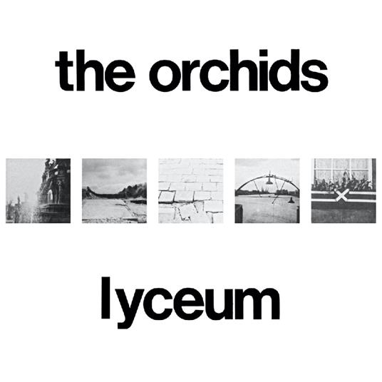 Lyceum - CD Audio di Orchids