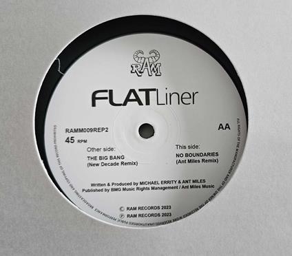 The Big Bang (New Decade Remix) - Vinile LP di Flatliners