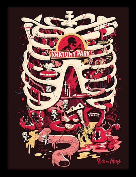 Stampa In Cornice 30X40 Cm Rick And Morty. Anatomy Park