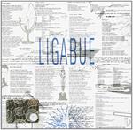 Ligabue (Remastered)