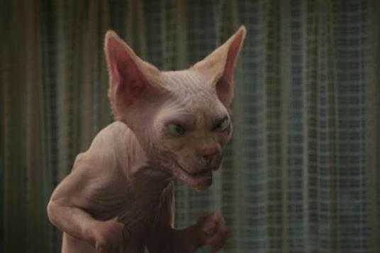 Cani & gatti. La vendetta di Kitty di Brad Peyton - Blu-ray - 3