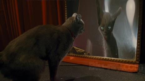 Cani & gatti. La vendetta di Kitty di Brad Peyton - Blu-ray - 4