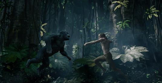 The Legend of Tarzan di David Yates - DVD - 7