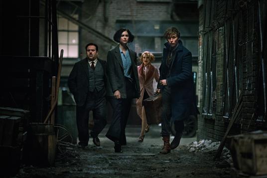 Animali fantastici e dove trovarli (DVD) di David Yates - DVD - 8