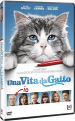 Una vita da gatto (DVD)