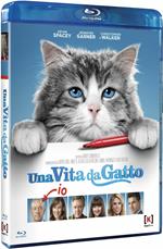 Una vita da gatto (Blu-ray)
